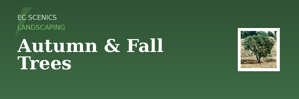 Woodland Scenics - Autumn & Fall Trees