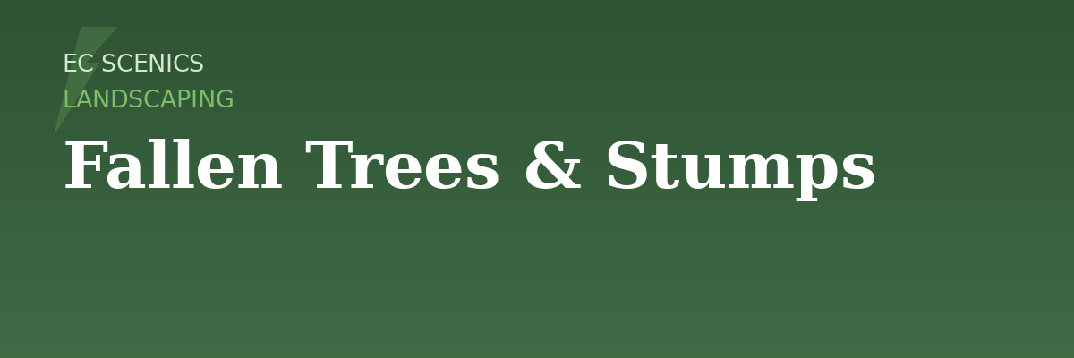 Woodland Scenics - Fallen Trees & Stumps