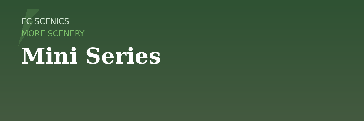 Mini Series