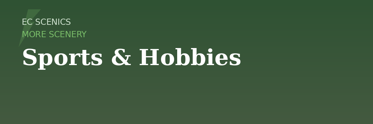 Sports & Hobbies